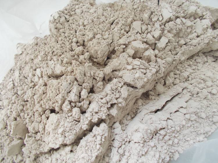 谷麗莎，一位很有仙氣的女小提琴演奏家