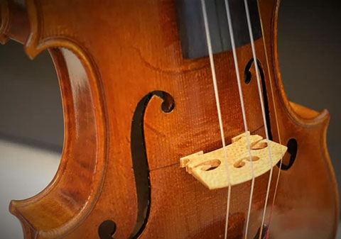 提琴木材的雞爪紋