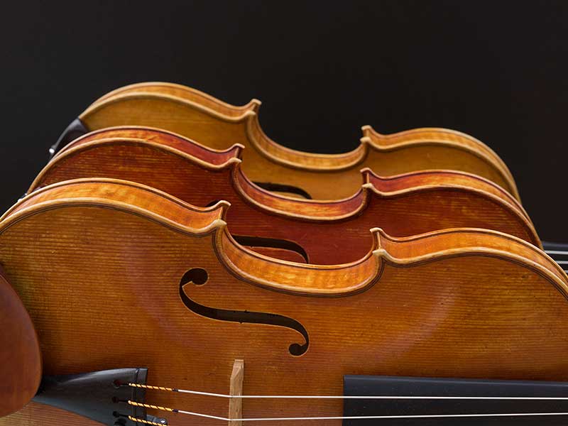 學(xué)中提琴有這么多優(yōu)勢(shì)，為什么總是被黑